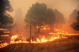 Climate Change and Natural Disasters